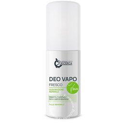 Fpr deo vapo fresco 24 ore 100 ml